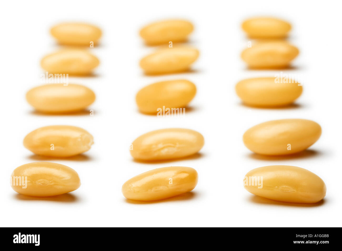 15 Beans Bean Counters Accountancy gone mad Stock Photo Alamy