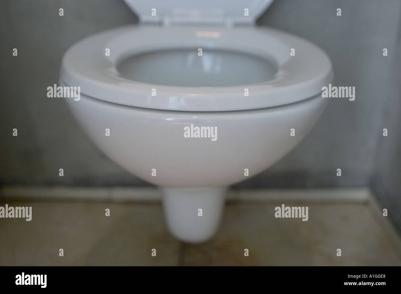 clean toilet in Shintori japanese restaurant in shanghai china Stock Photo  - Alamy, image size:1300x954