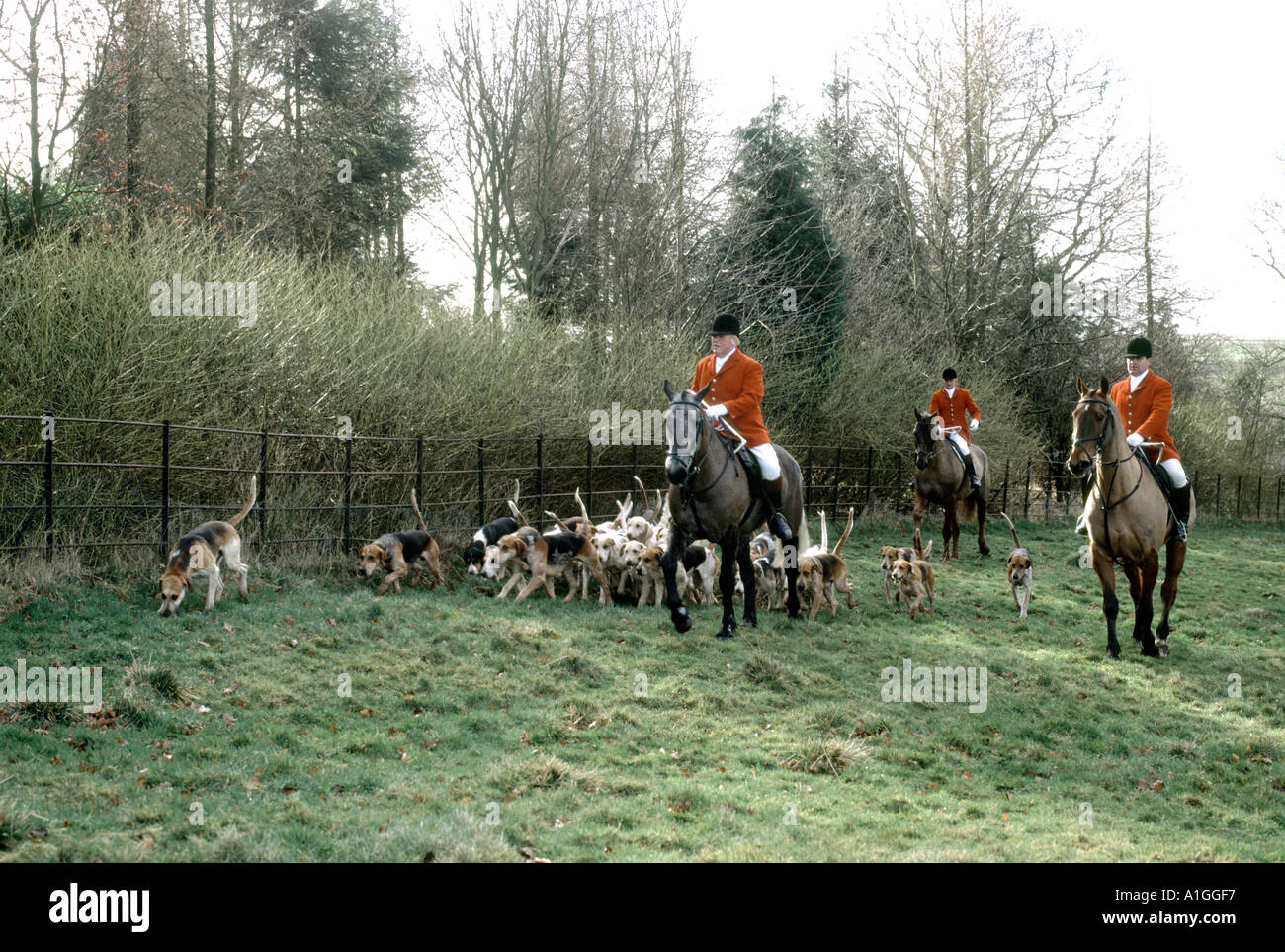 lincolnshire wolds foxhunt meet early 2005 Stock Photo