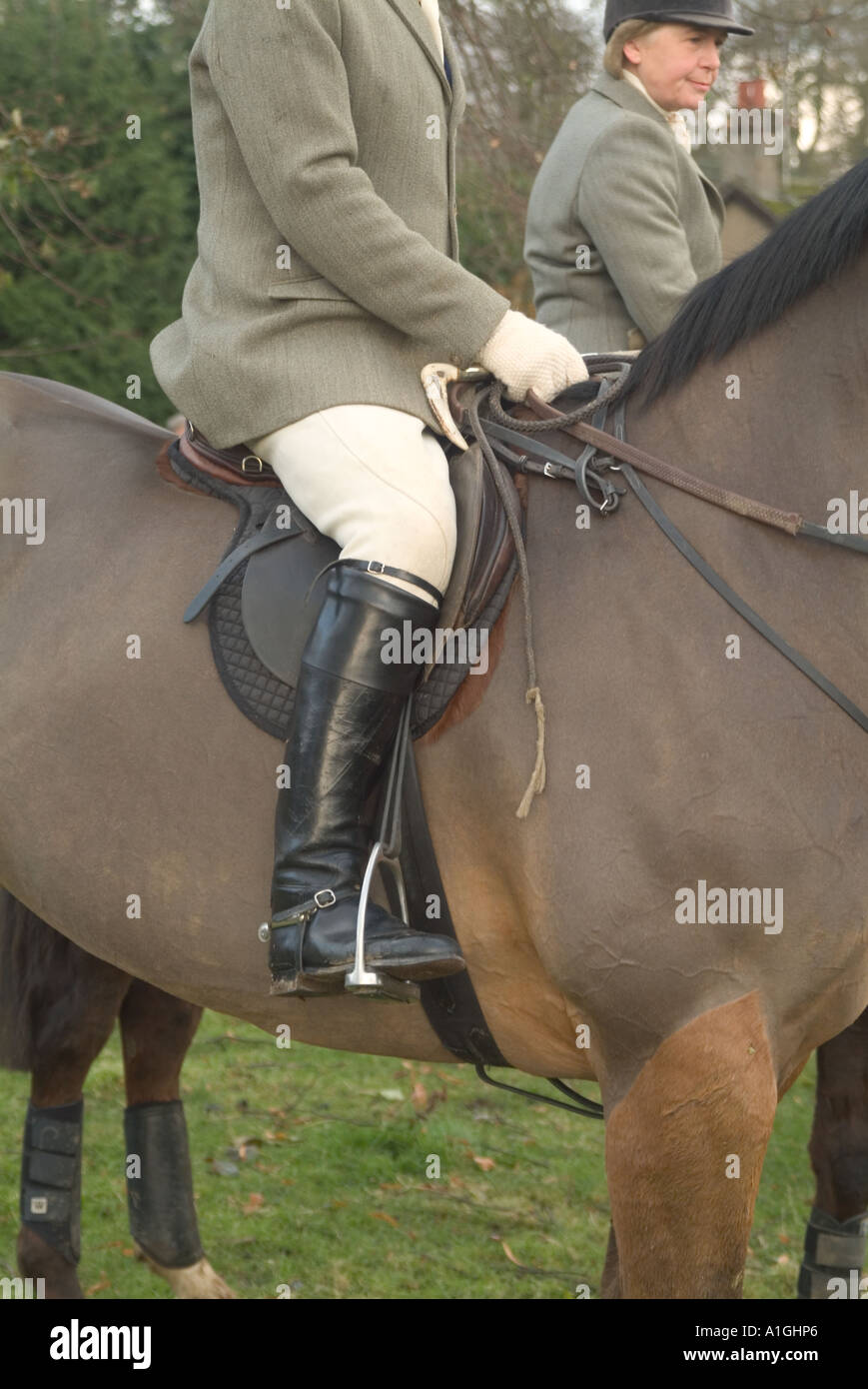 Horse with hunter clip hires stock photography and images Alamy