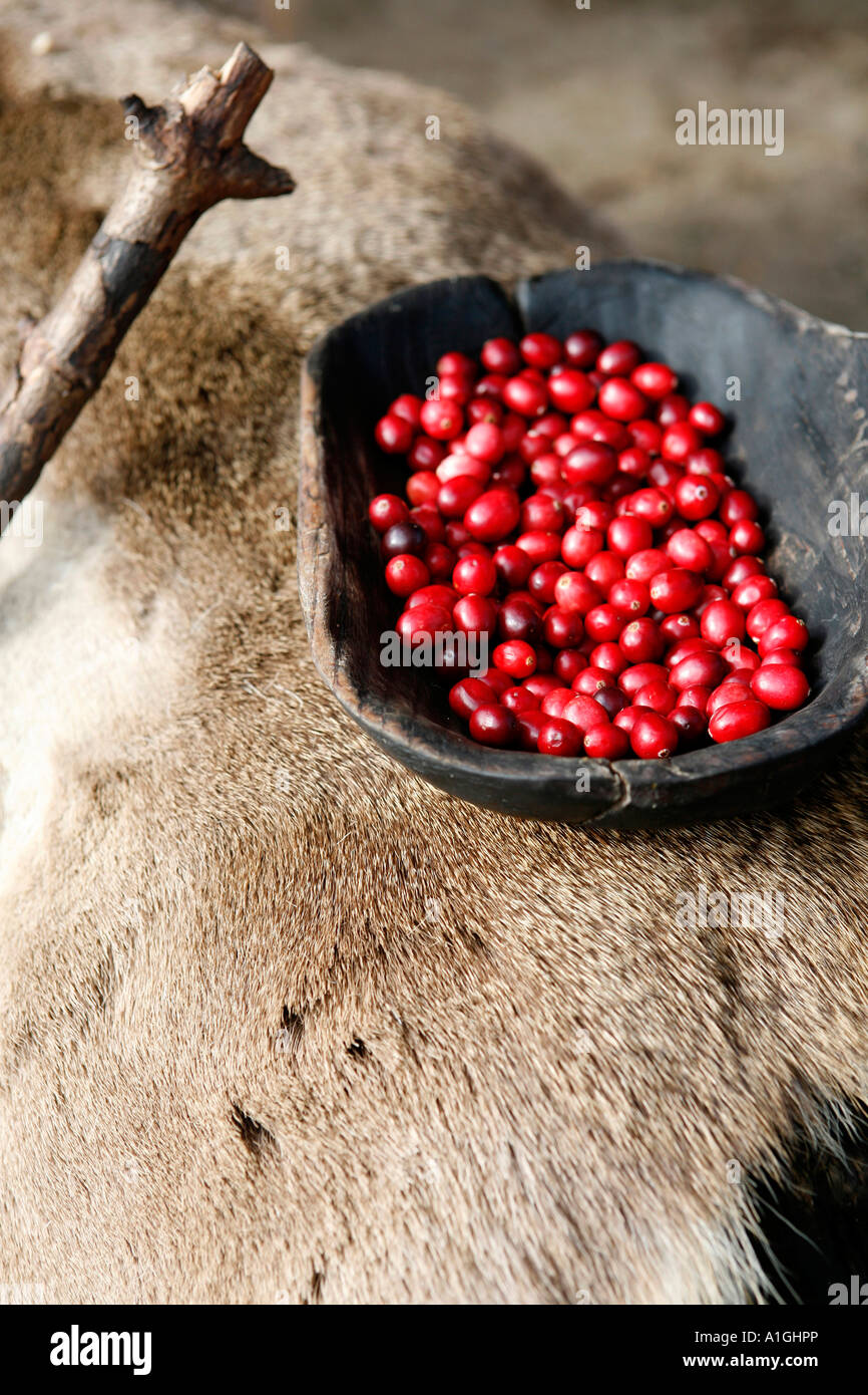 Cranberries On Deerskin Blanket Stock Photo Alamy