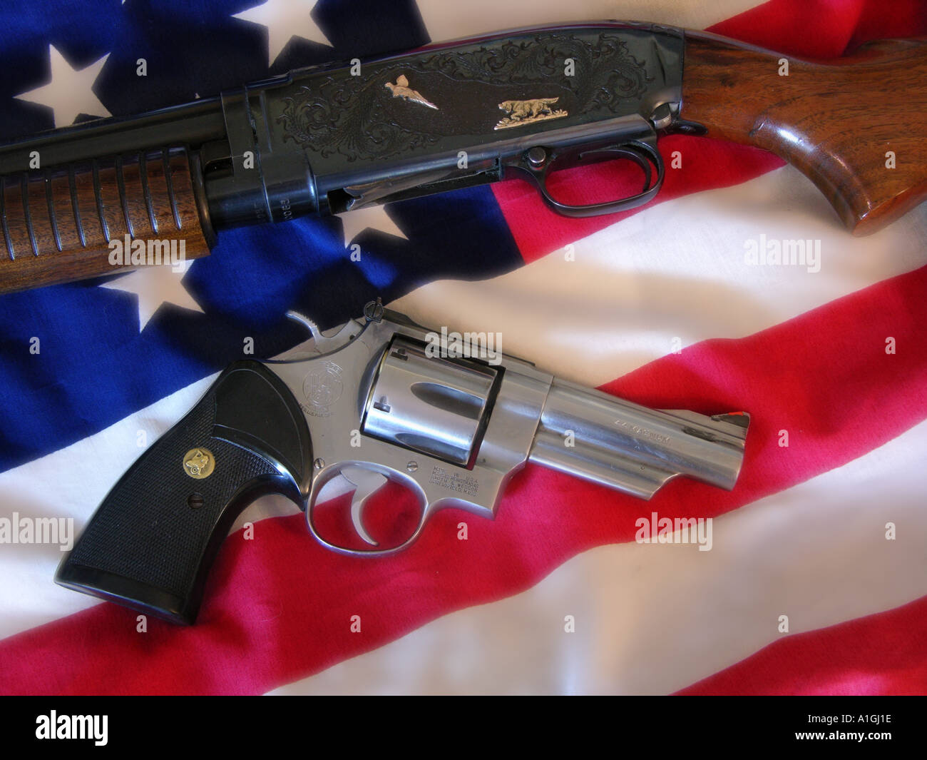 Gun Rights Concept Stock Photo