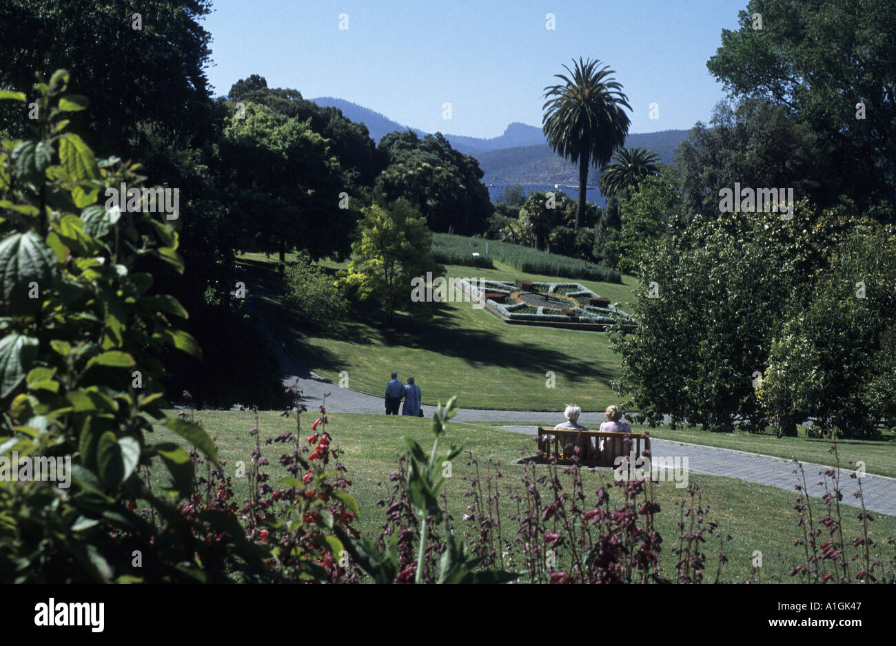 Royal Tasmanian Botanical Gardens, Hobart, Tasmania, Australia Stock Photo