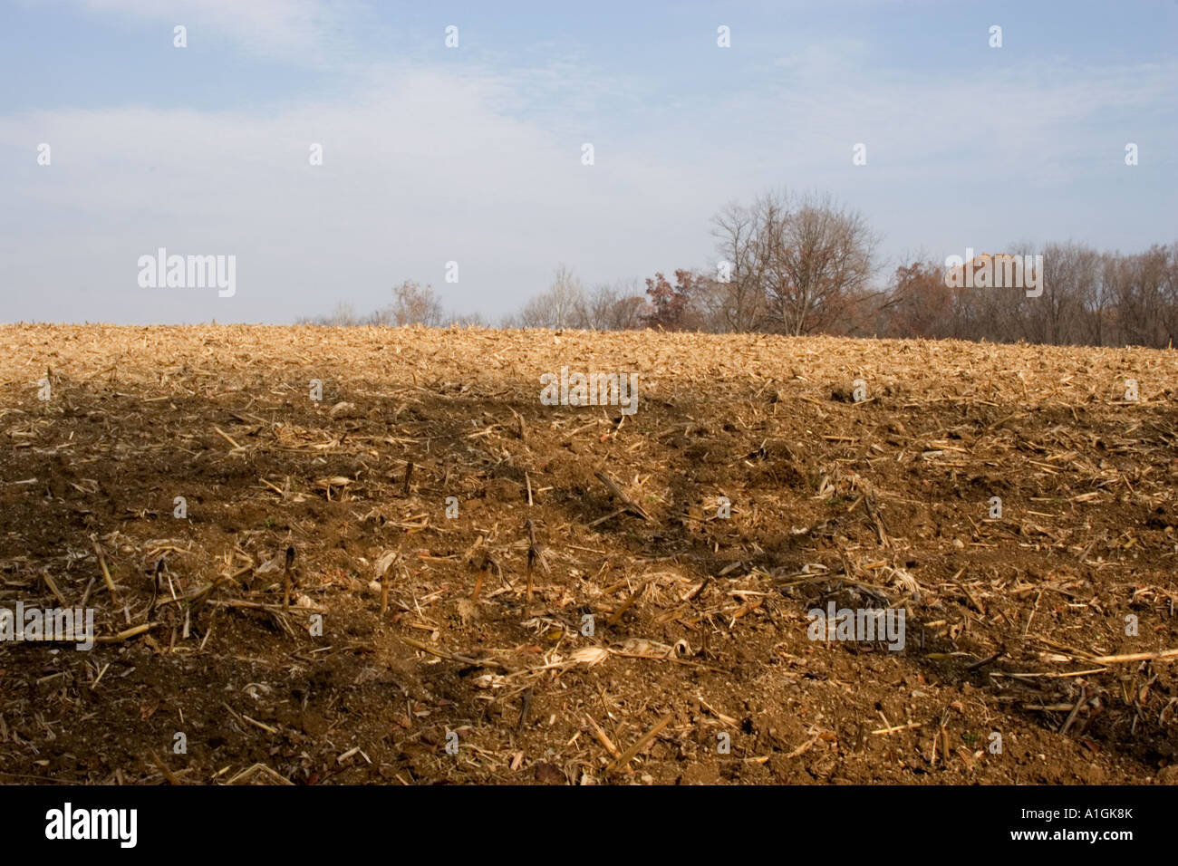 Empty fields after harvest hi-res stock photography and images - Alamy