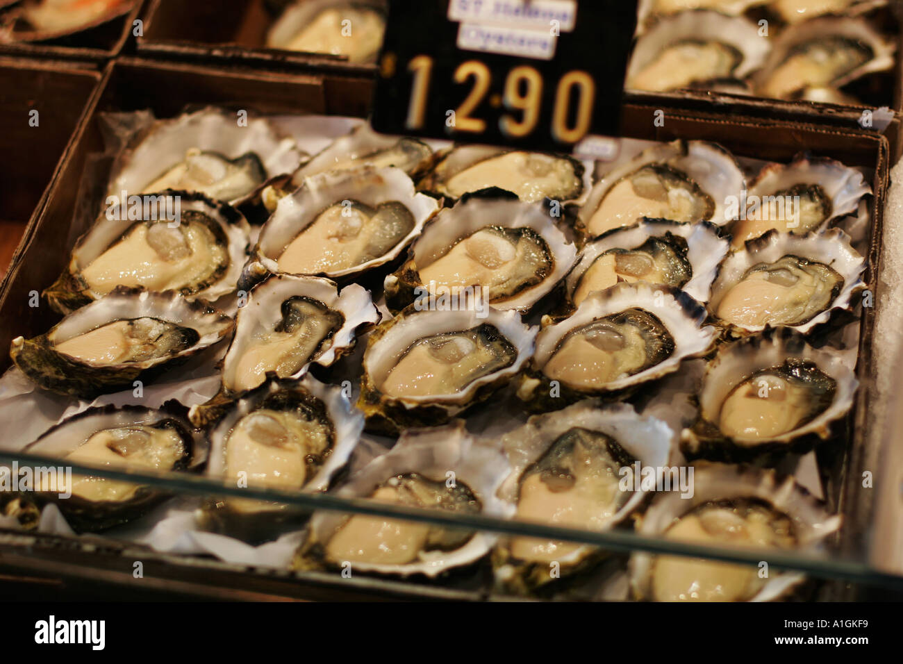 Freshly shucked Tasmanian oysters at Sydney Fish Markets Stock Photo
