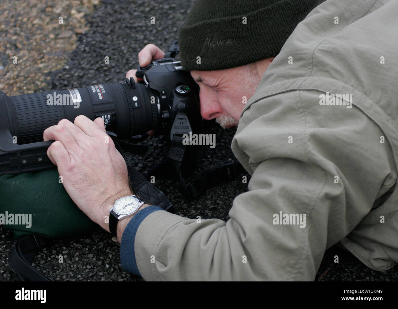 Photographer with wildlife hi-res stock photography and images - Alamy