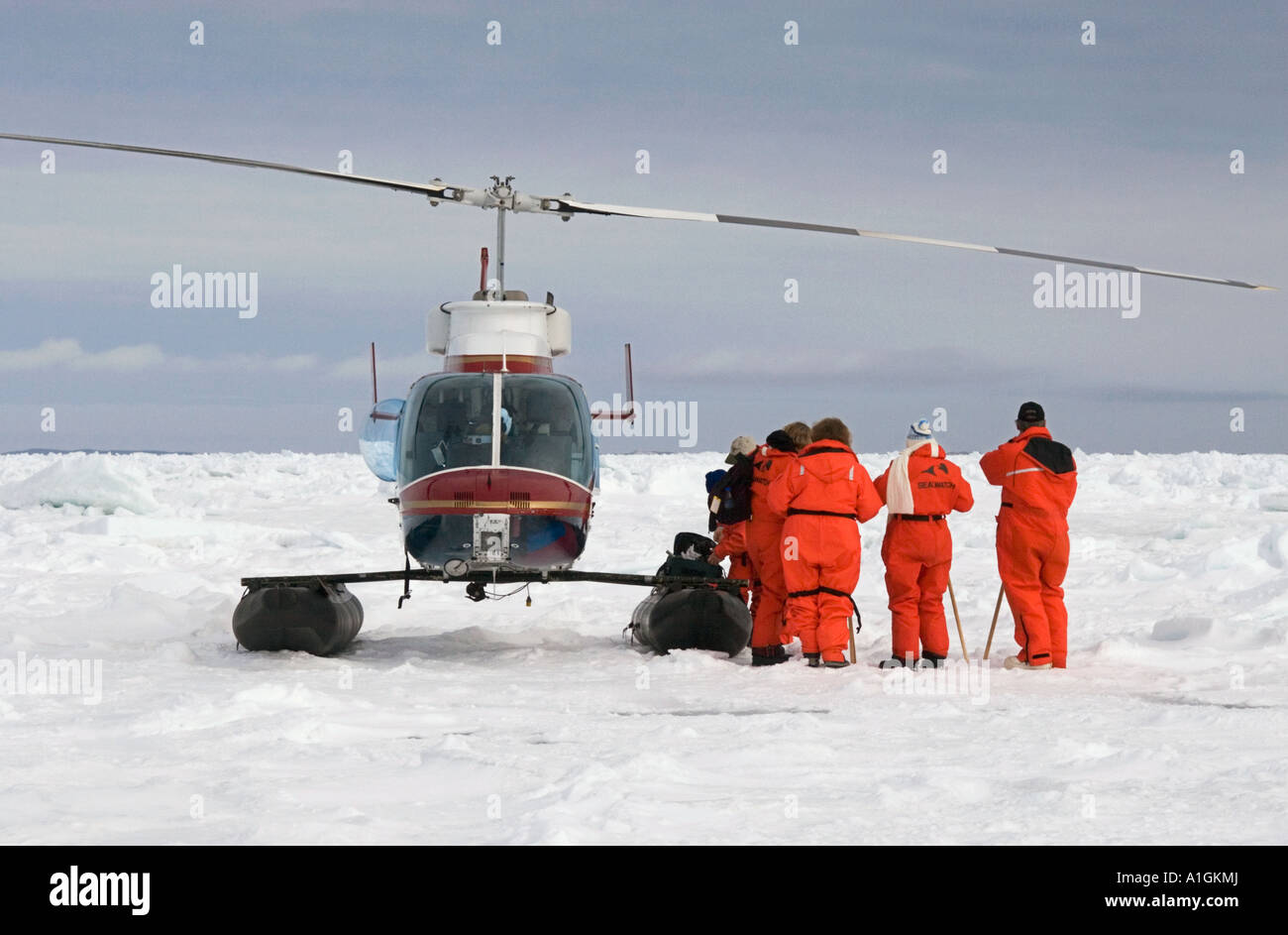 Harp seal watchers on frozen North Atlantic next to helicopter Canada Stock Photo