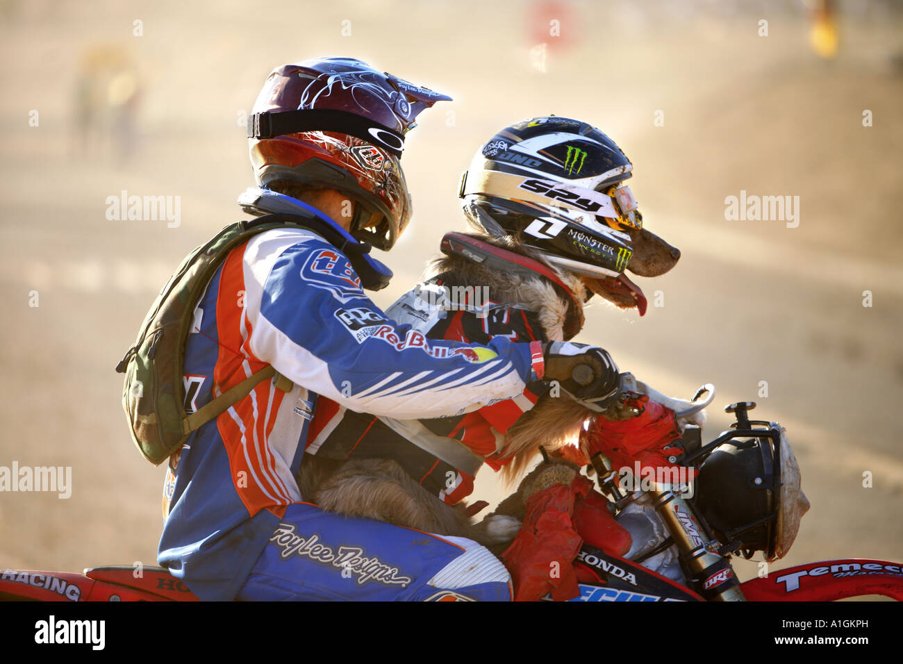 Elsinore grand prix hires stock photography and images Alamy