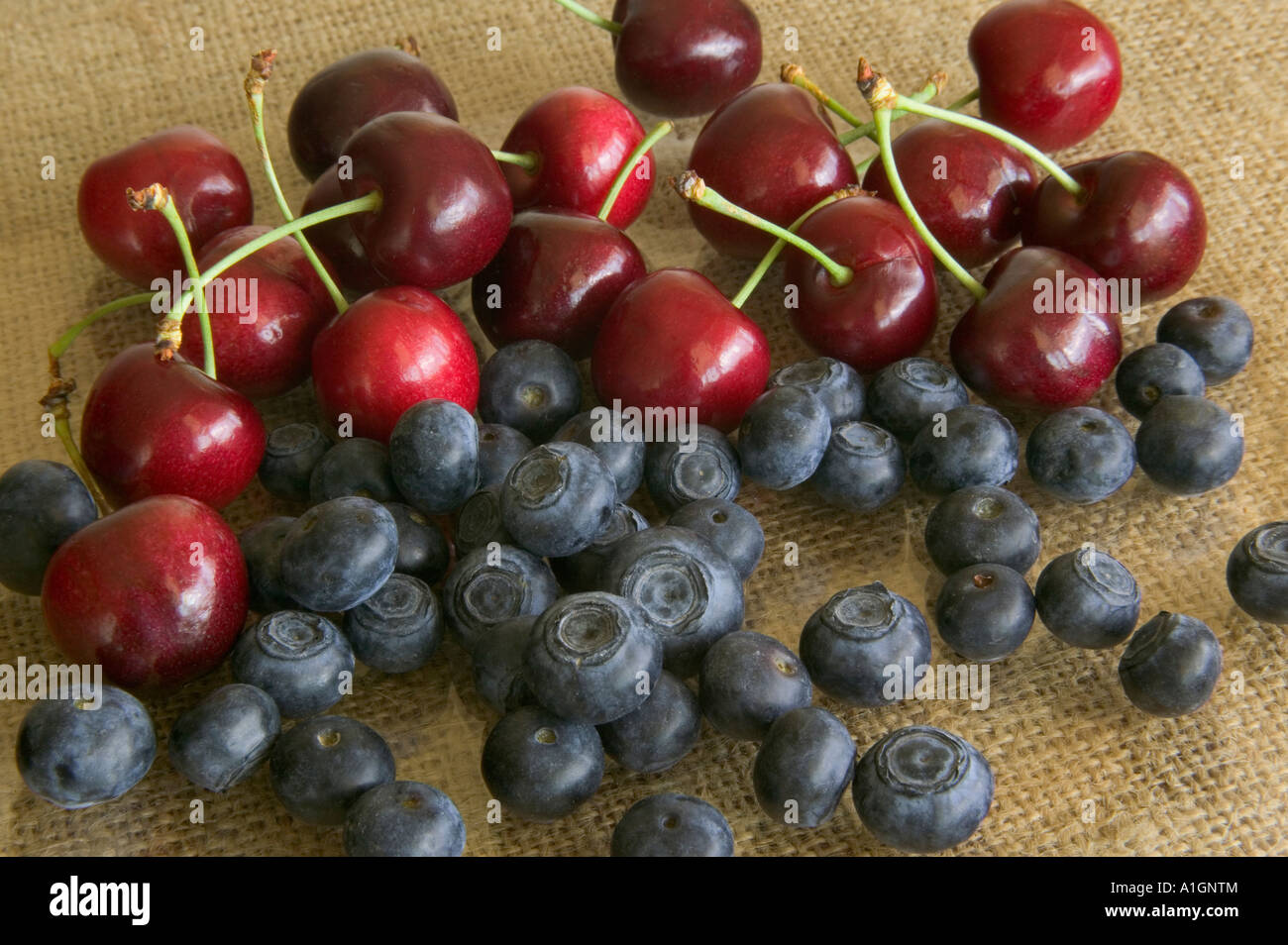 Bing Cherries and Blueberries, on burlap. Stock Photo