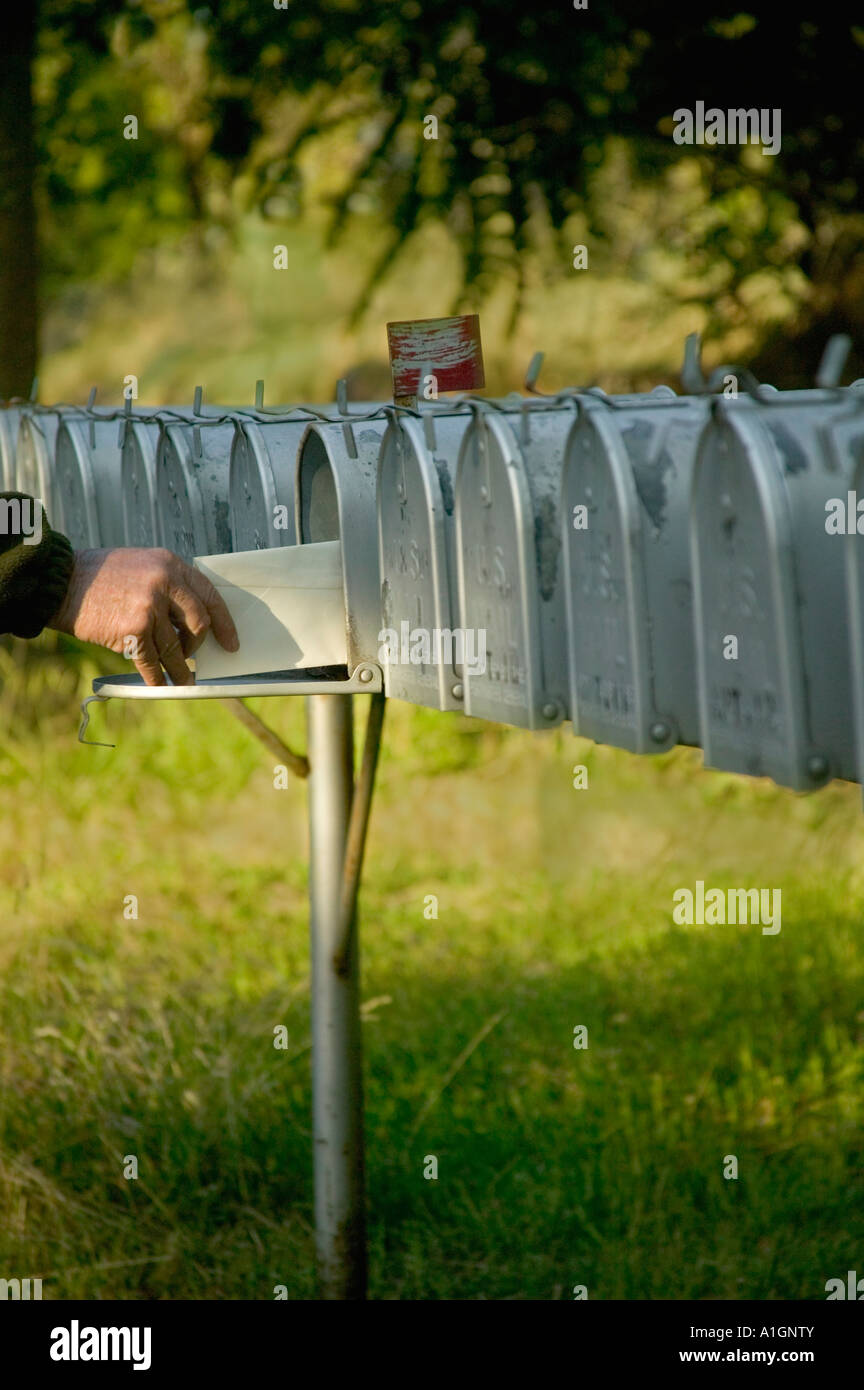 Hand depositing letter into rural mail box, California Stock Photo Alamy