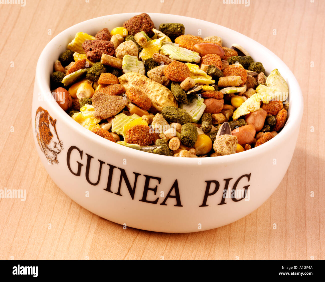 guinea pig food dish