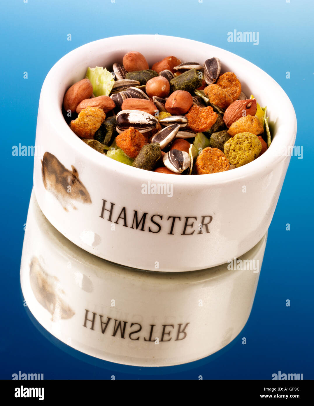 HAMSTER FOOD Stock Photo
