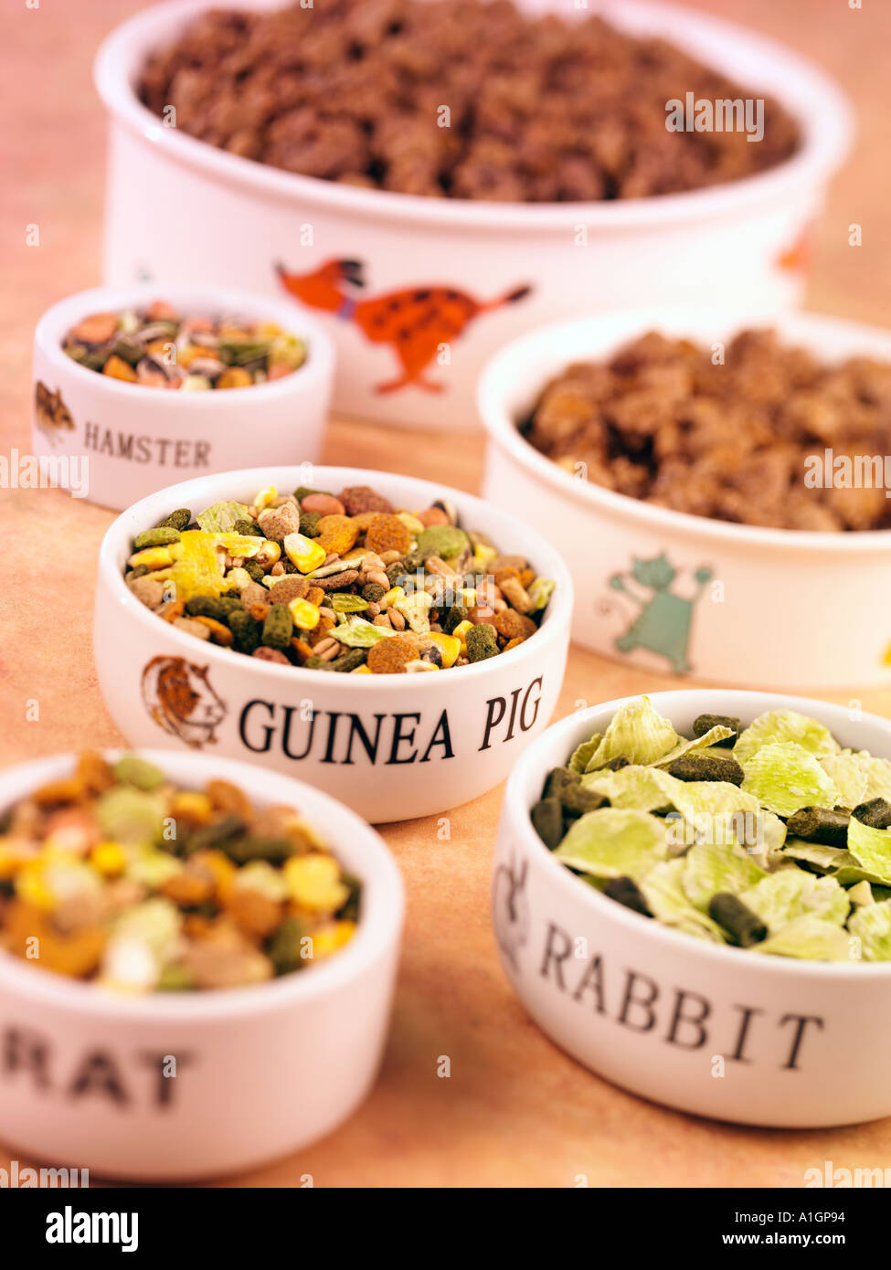 PET FOOD Stock Photo