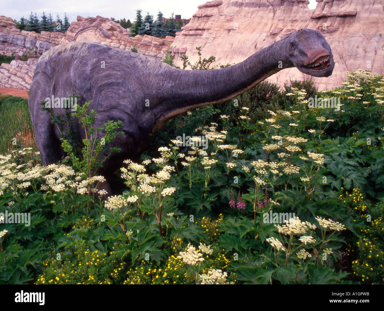 Canada Calgary dinosaur statue Stock Photo