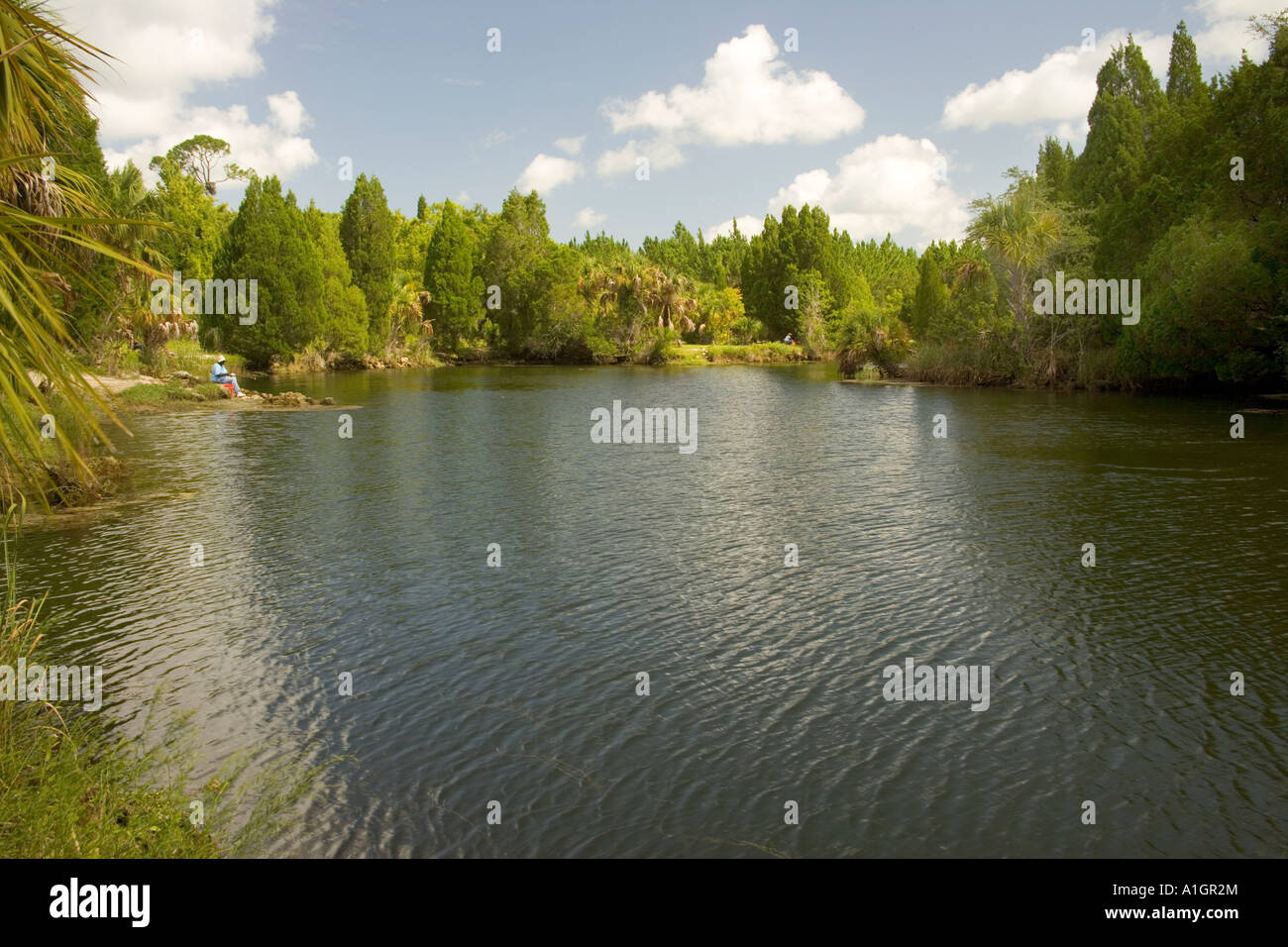 Suwannee River lagoon, Dixie County, Florida Stock Photo