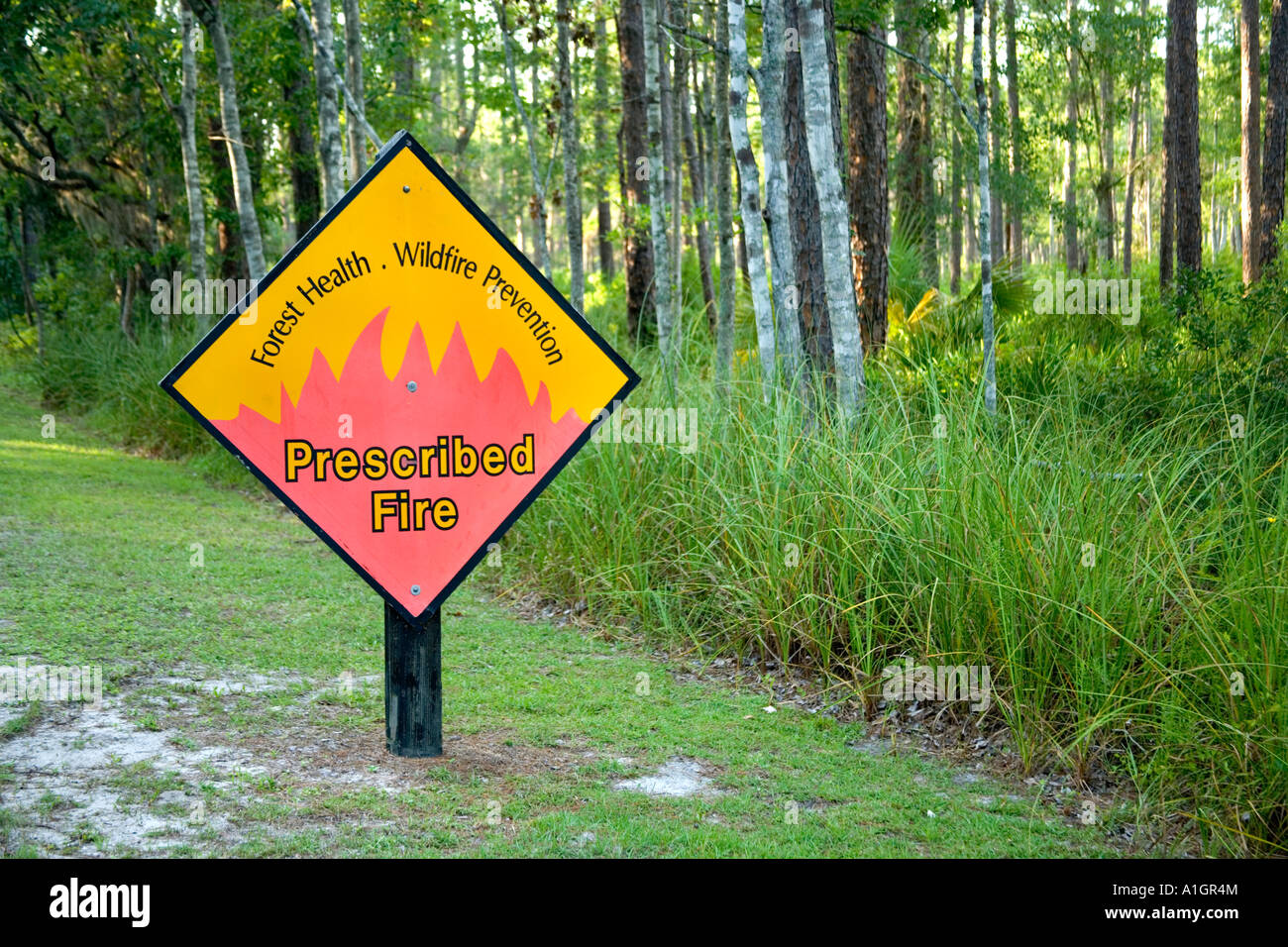 Sign along forest road 'Forest Health' Stock Photo Alamy