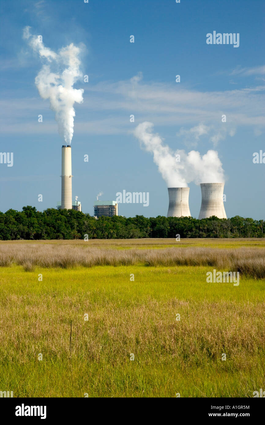 Evaporative cooling towers, St. Johns River Power Stock Photo Alamy