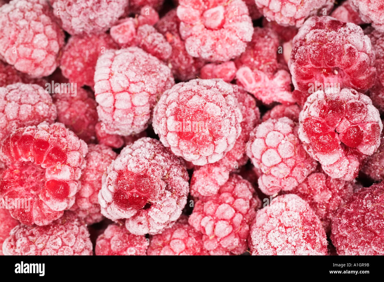 Frozen Raspberries Stock Photo Alamy