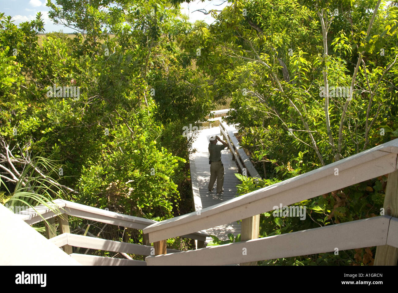 Pa Hay Okee Overlook,  visitor viewing wildlife. Stock Photo
