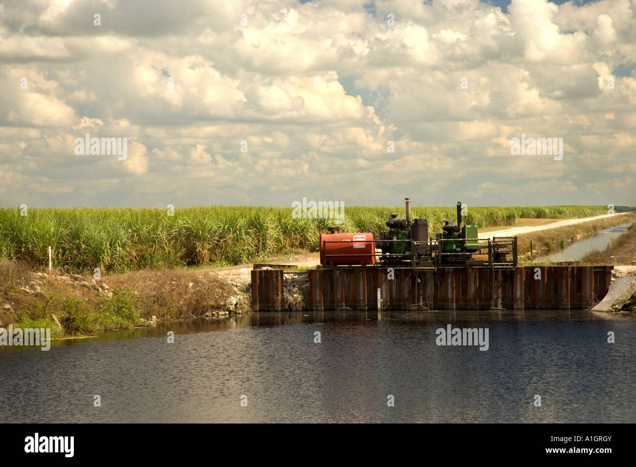 Irrigation canal by sugar cane field, Stock Photo