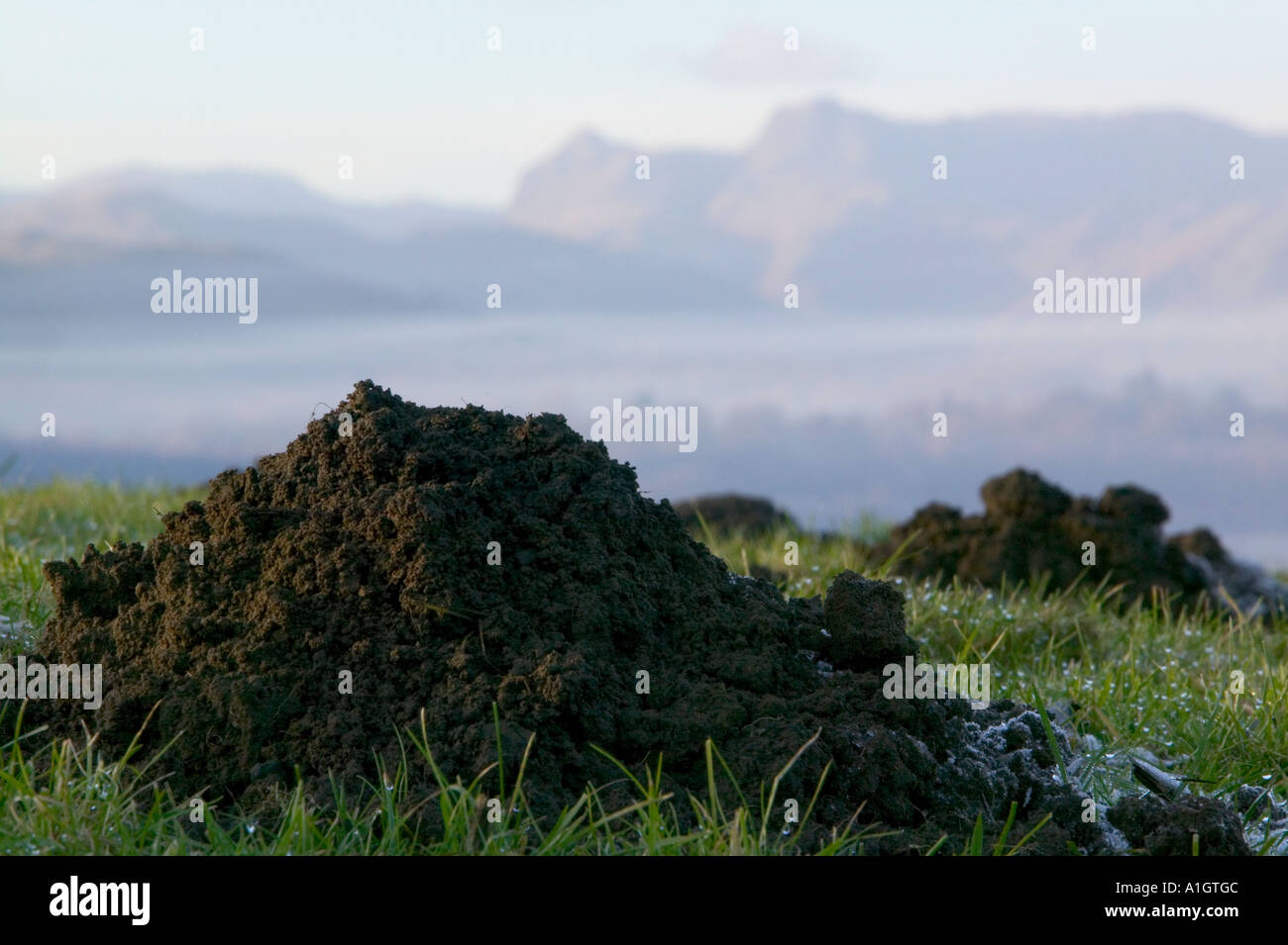 mole hill in front of the Langdale Pikes, Lake district, UK (mountains out of mole hills) Stock Photo