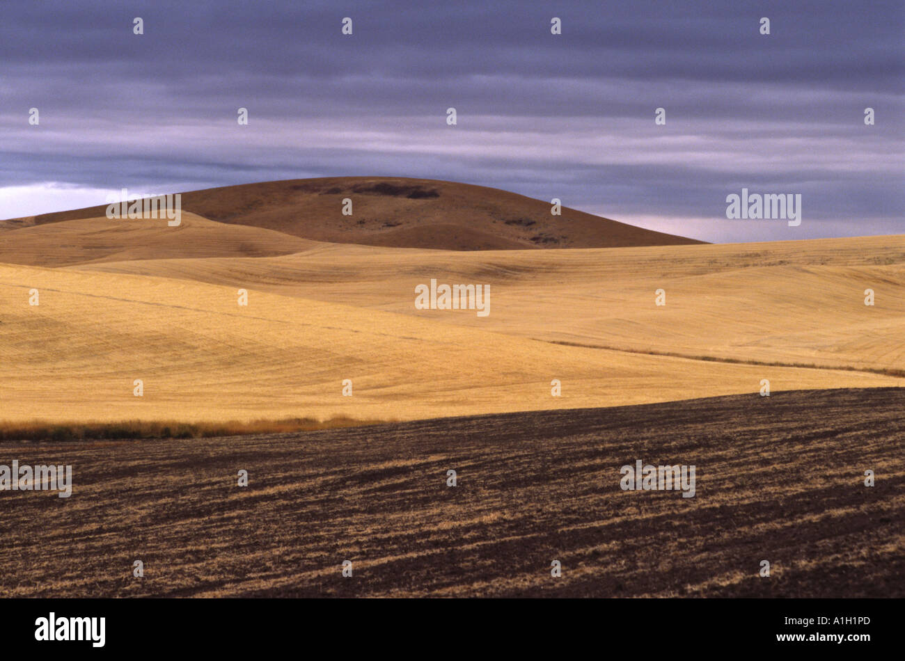 Rolling Element Stock Photos Rolling Element Stock Images Alamy
