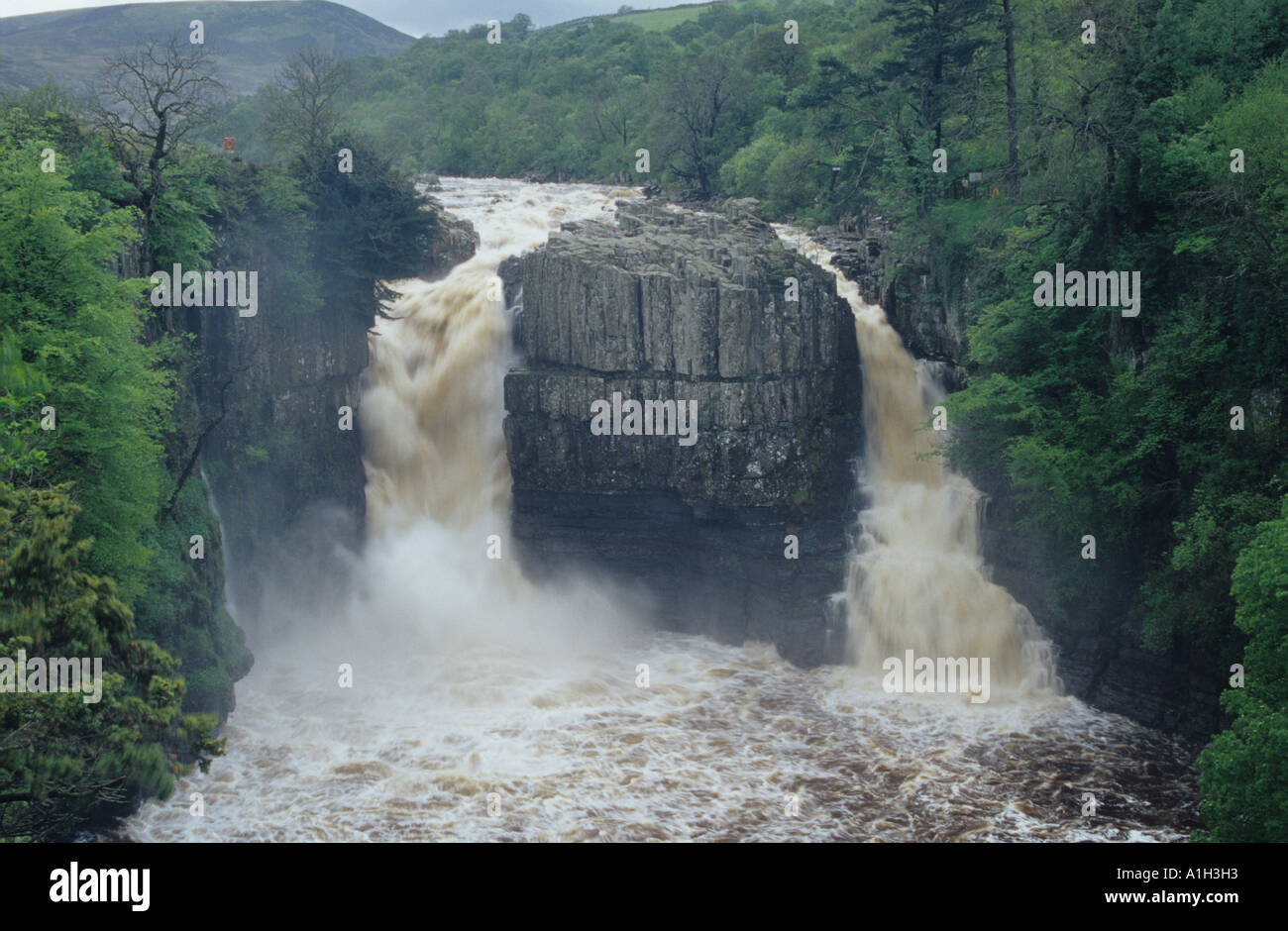 The River Tees falls over High Force waterfall in Teesdale, County Durham, shown here in flood Stock Photo
