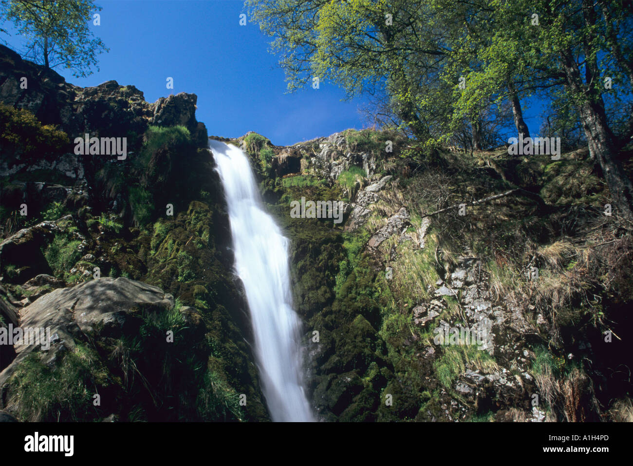 Linhope Spout Waterfall in Northumberland National Park, England Stock Photo