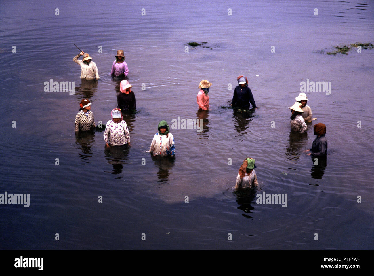 Women cleaning out the moat around Angkor Wat in Cambodia Stock Photo