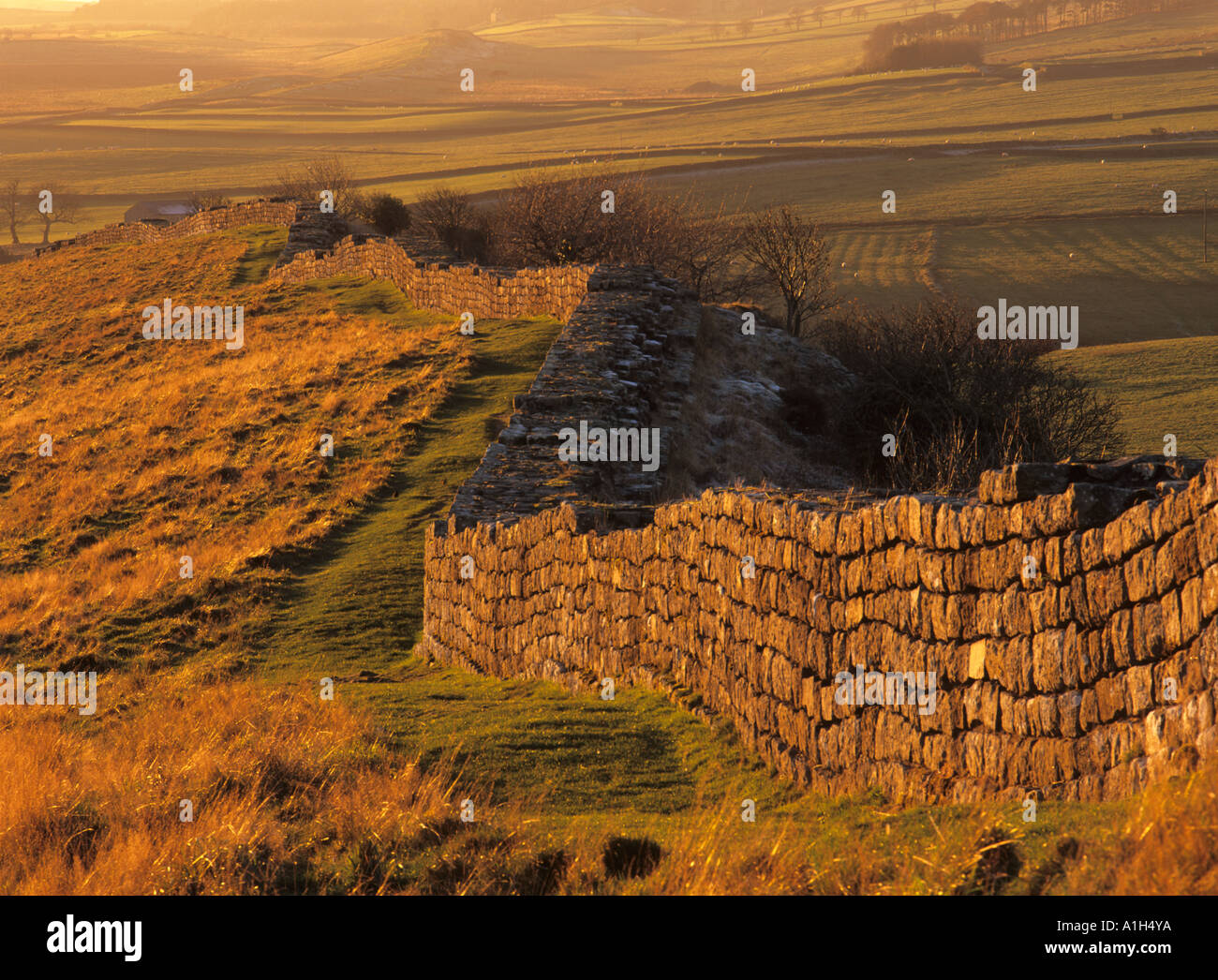 Hadrian's Wall at Cawfields Crags, Northumberland, England - world ...