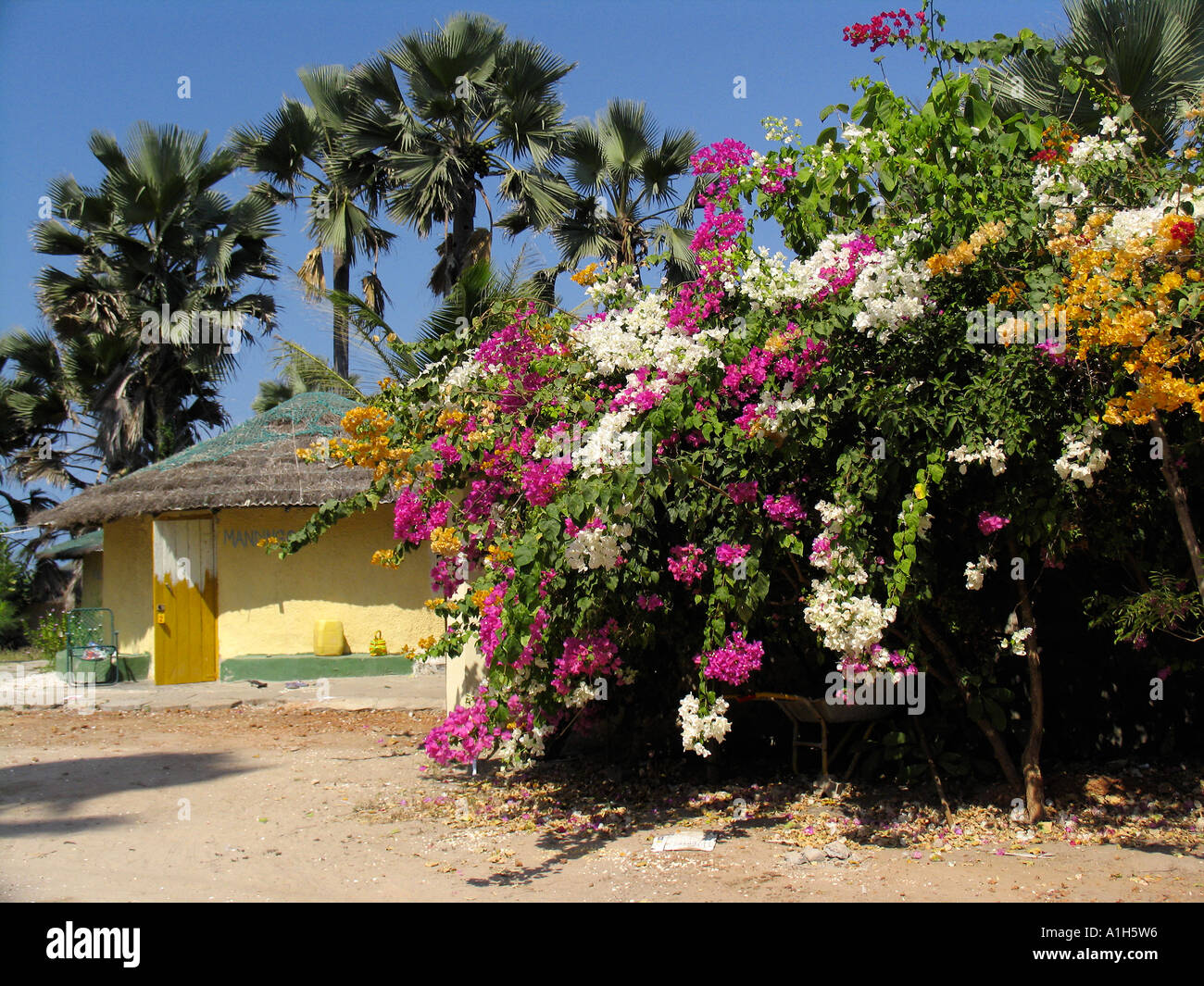 African style thatch bungalow Boboi Beach Lodge near Kartong The Gambia Stock Photo