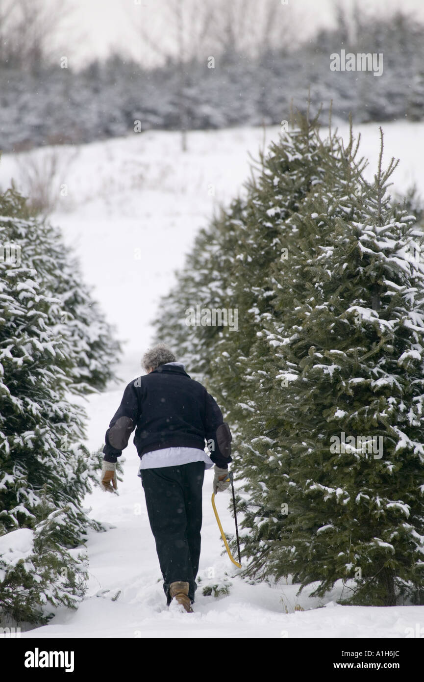 Season your own hires stock photography and images Alamy