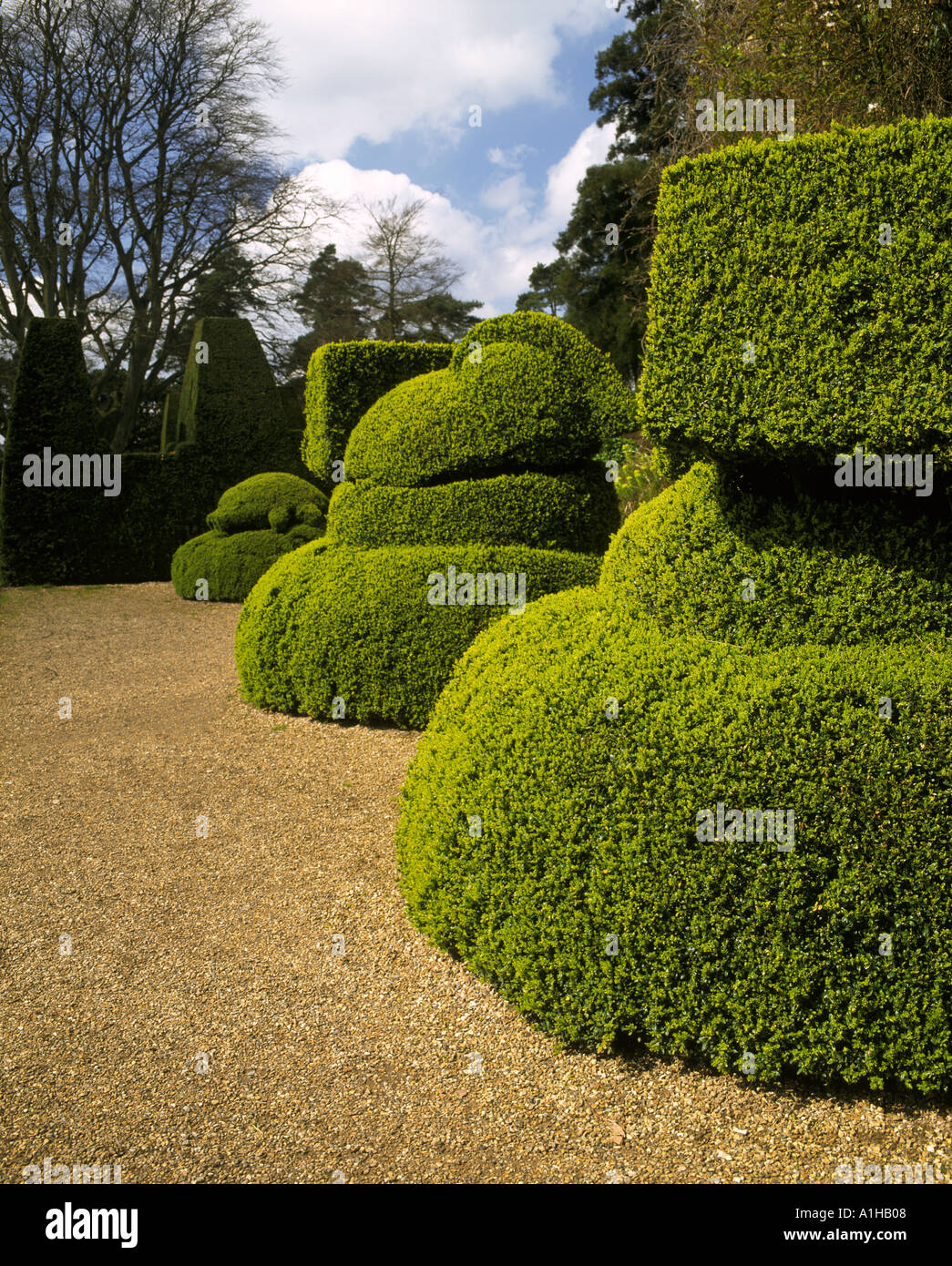 Shrub shrubs topiary hires stock photography and images Alamy