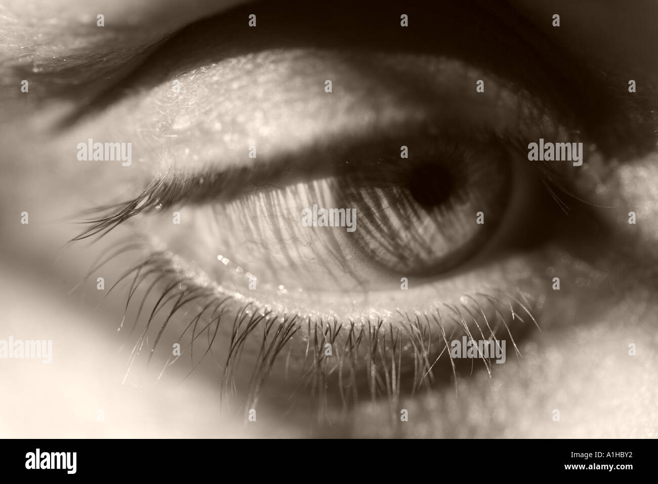 A woman's eye close up Stock Photo