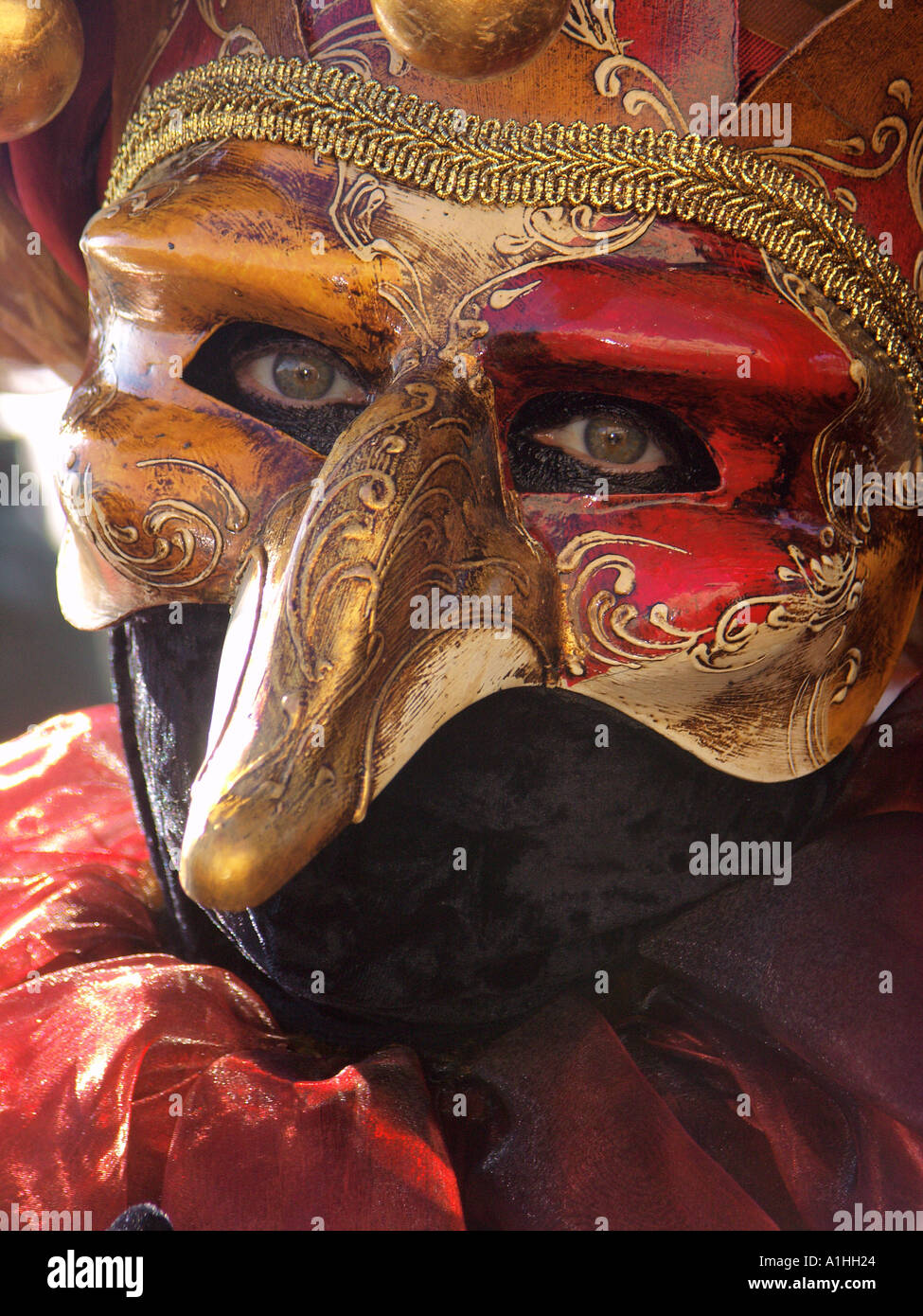 Download Harlequin Mask High Resolution Stock Photography And Images Alamy PSD Mockup Templates