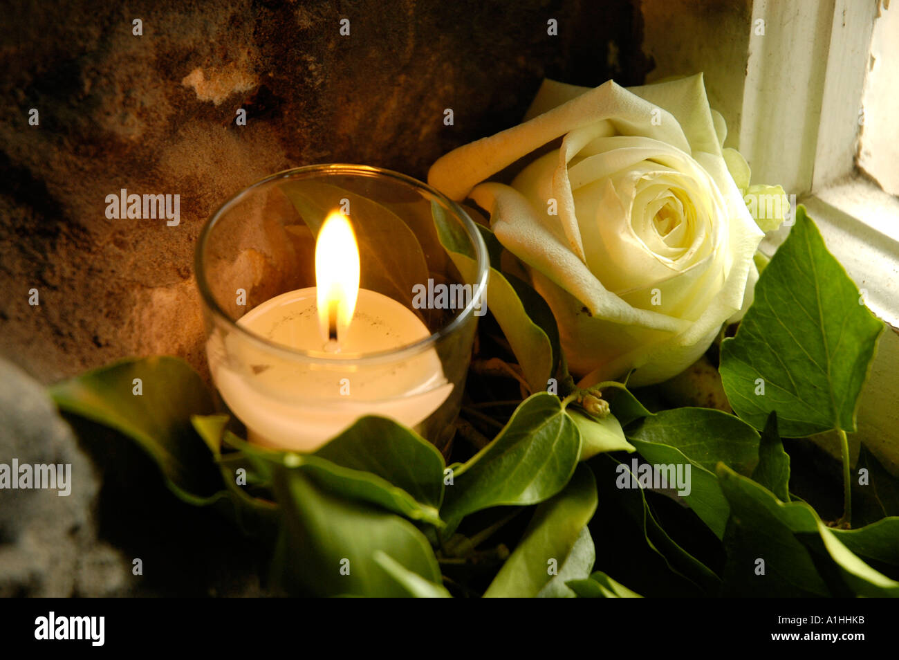 Candle and white rose Stock Photo - Alamy