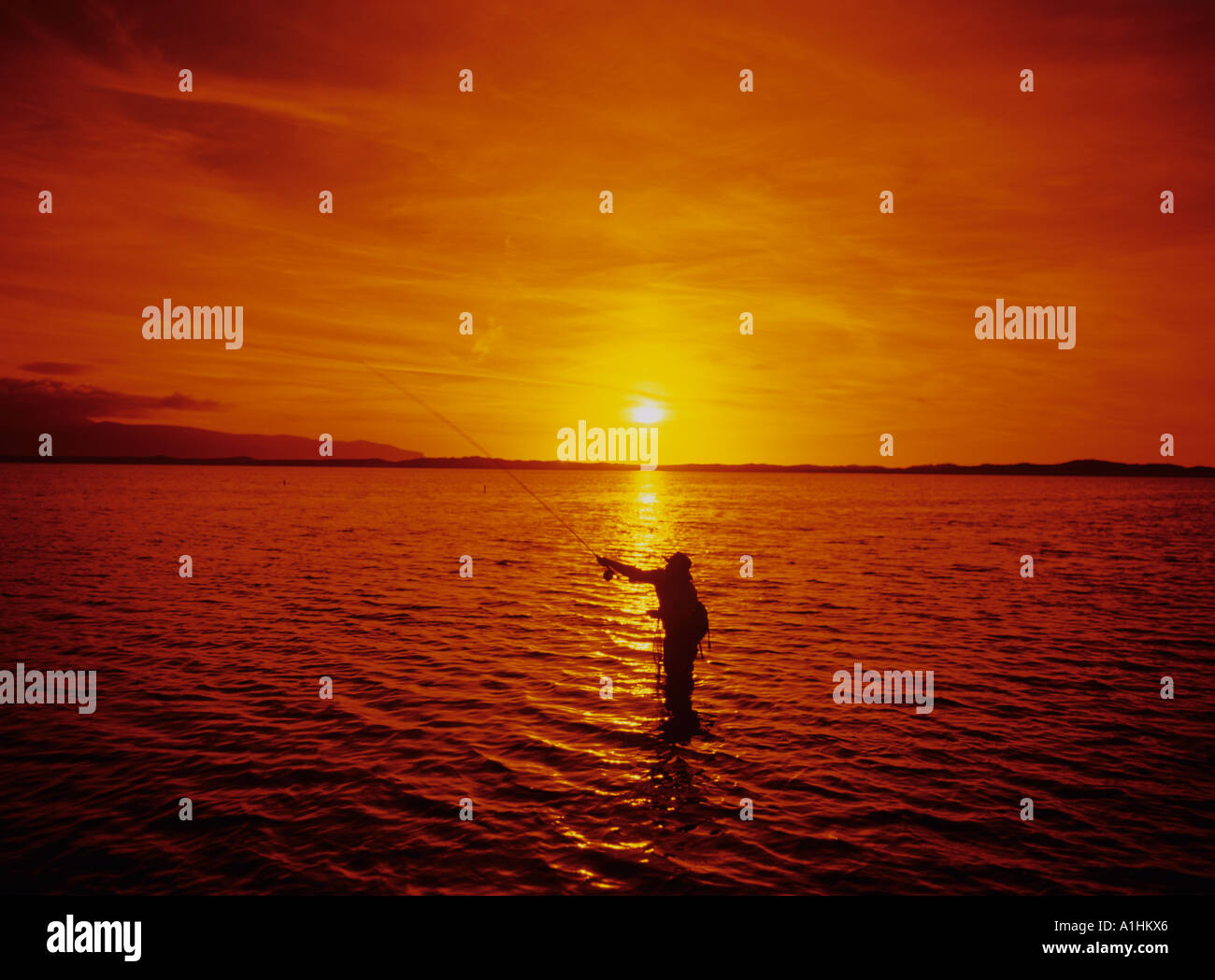 Silhouette of a man fly fishing hi-res stock photography and images - Alamy