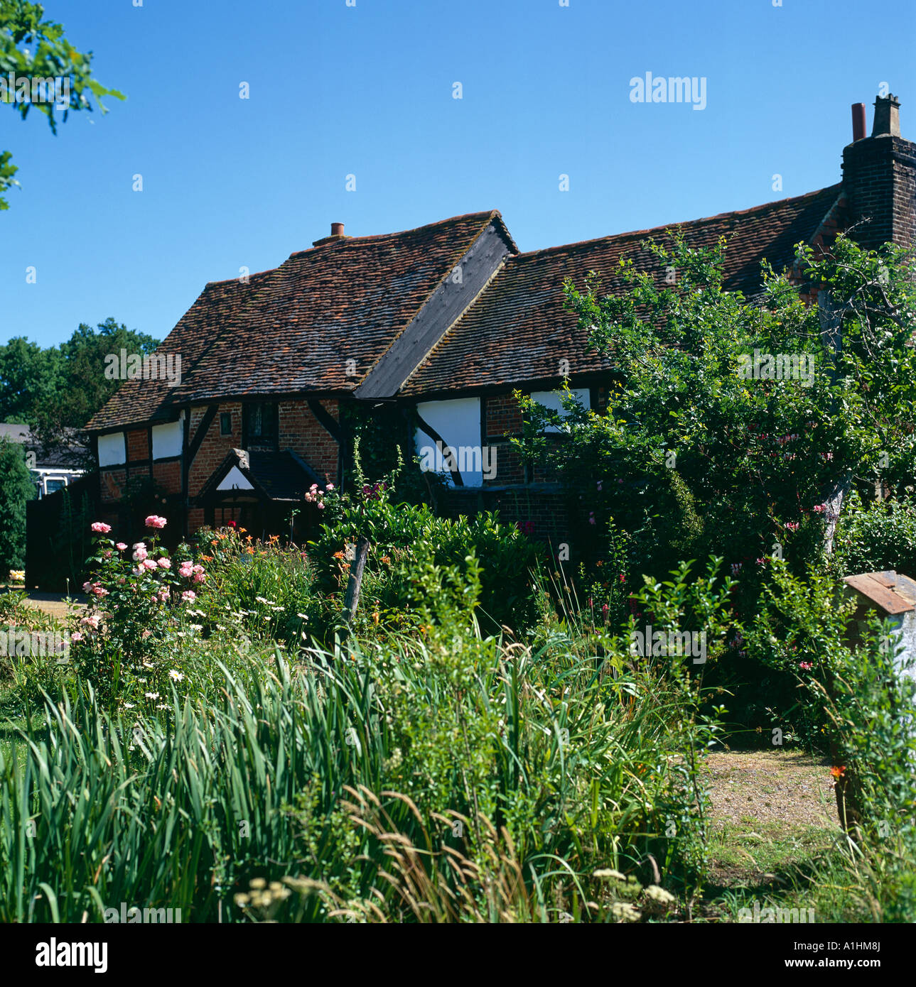 Betchworth High Resolution Stock Photography and Images Alamy