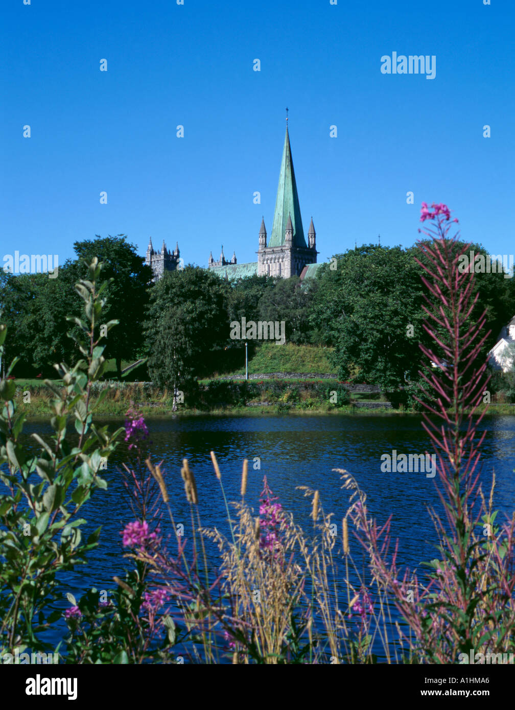 Nidarosdomen (Nidaros Cathedral), seen over Nidelva, Trondheim, Sør ...