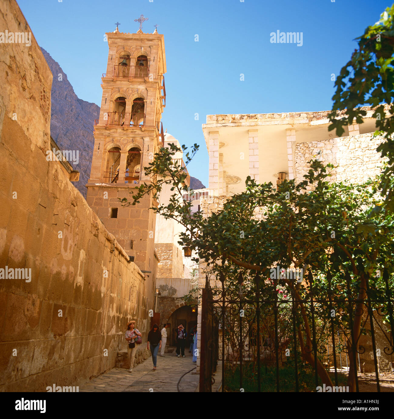 Saint Katherines Monastery Sinai Desert Egypt North Africa Stock Photo