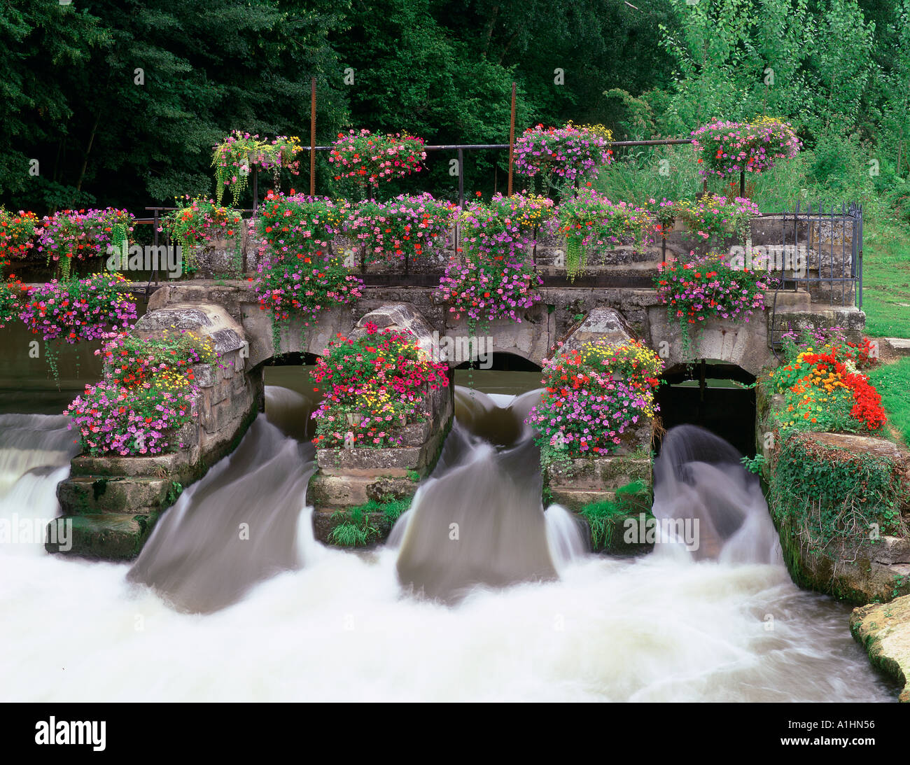 Bridge with flowers over a river Stock Photo Alamy