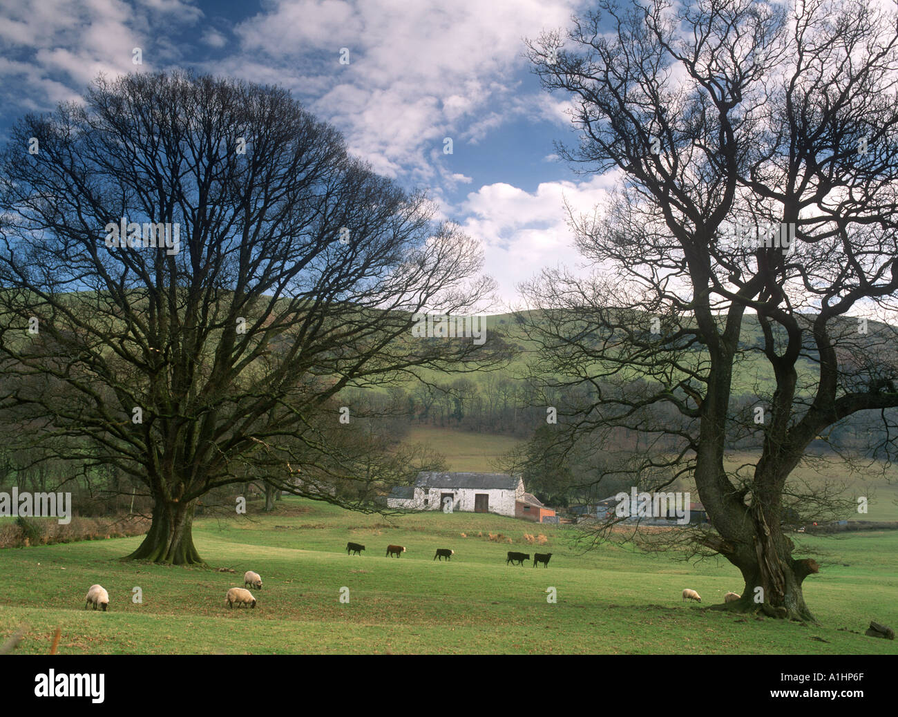 Hill Farm Brecon Beacons Mid Wales Stock Photo Alamy