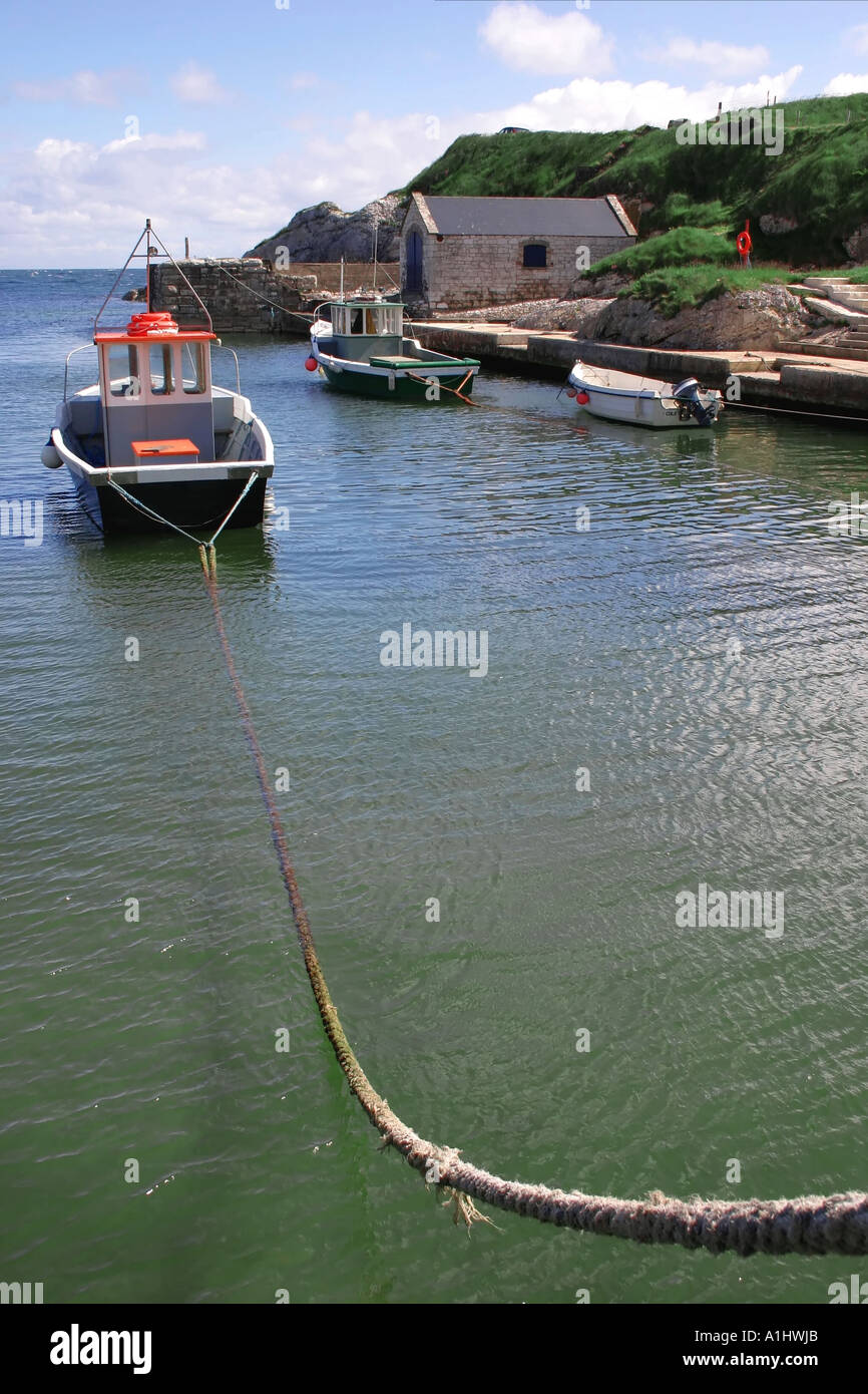 Shore fishing northern ireland hi-res stock photography and images - Page 4  - Alamy
