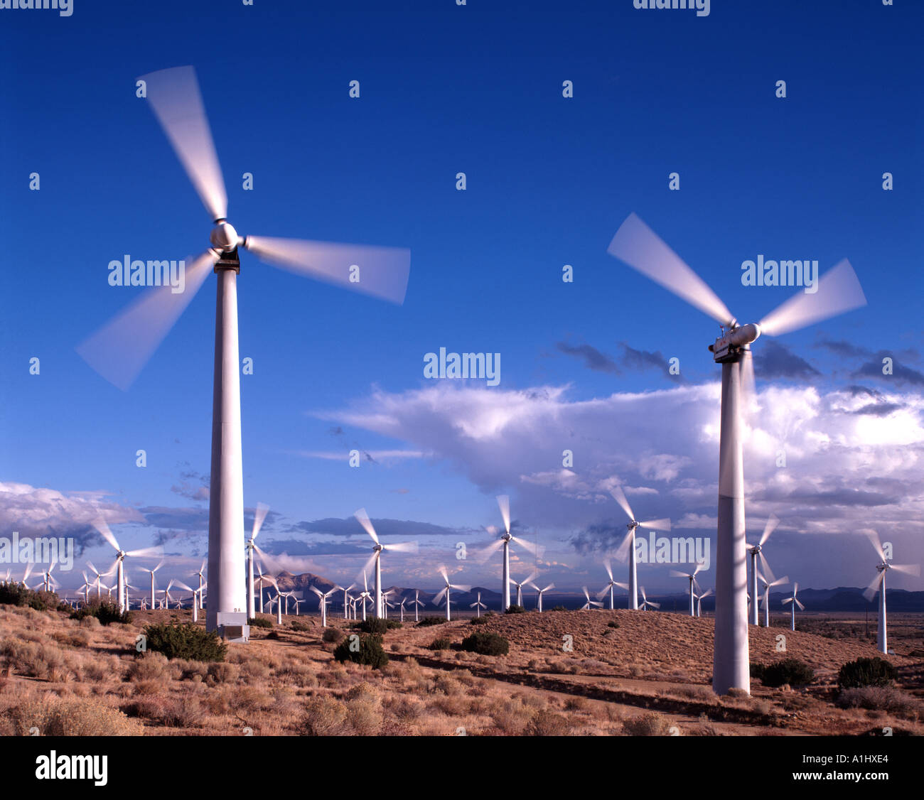 Wind Turbines, California, USA Stock Photo