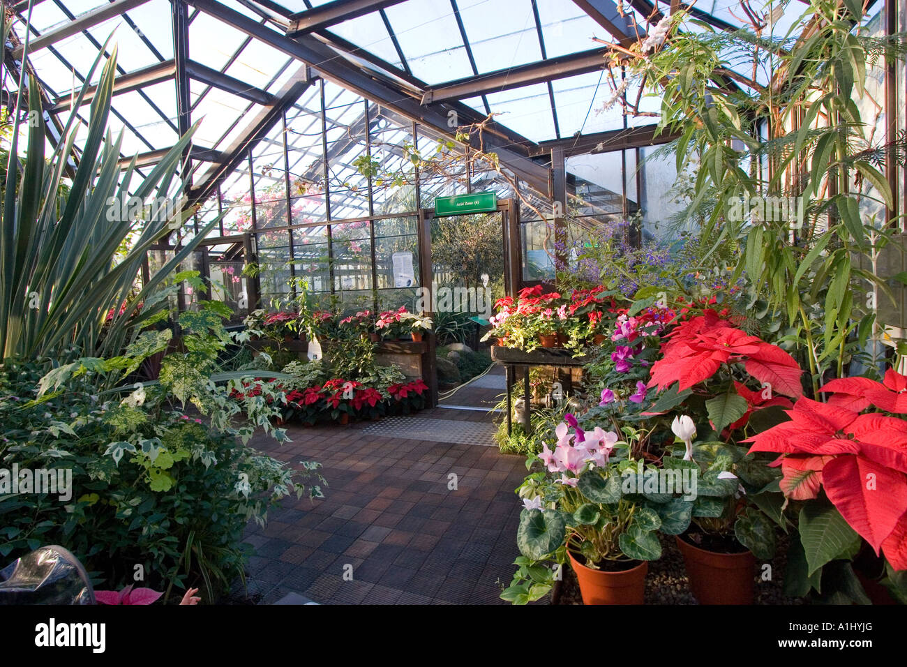 Greenhouses hi-res stock photography and images - Alamy