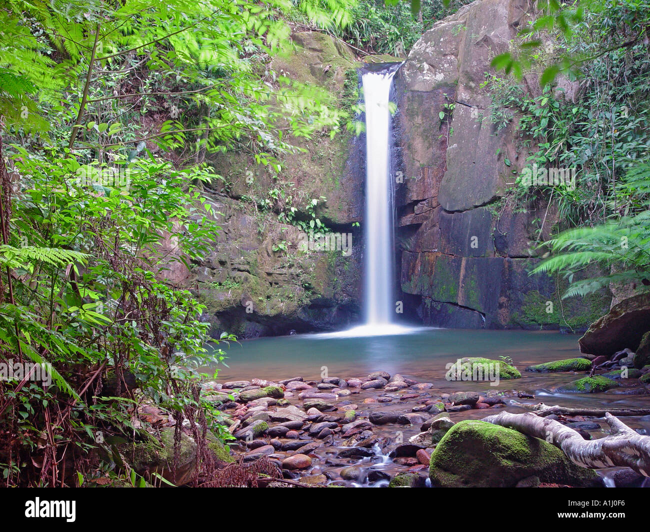 Iporanga São Paulo fonte: c8.alamy.com