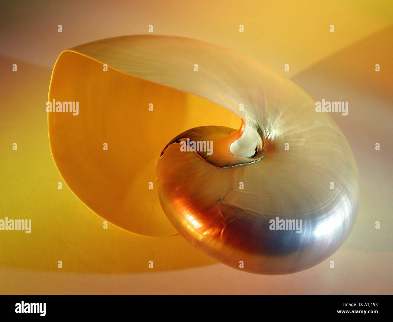 Polished by the sea hi-res stock photography and images - Alamy