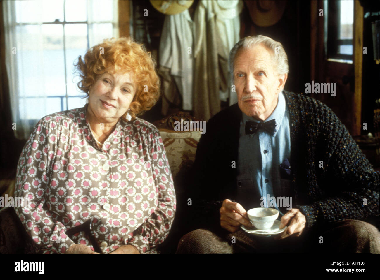 The Whales Of August Year 1987 Director Lindsay Anderson Ann Sothern Vincent Price Stock Photo