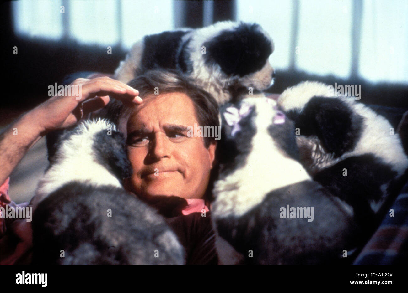 Beethoven 2 Year 1993 Director Rod Amiel Charles Grodin Stock Photo