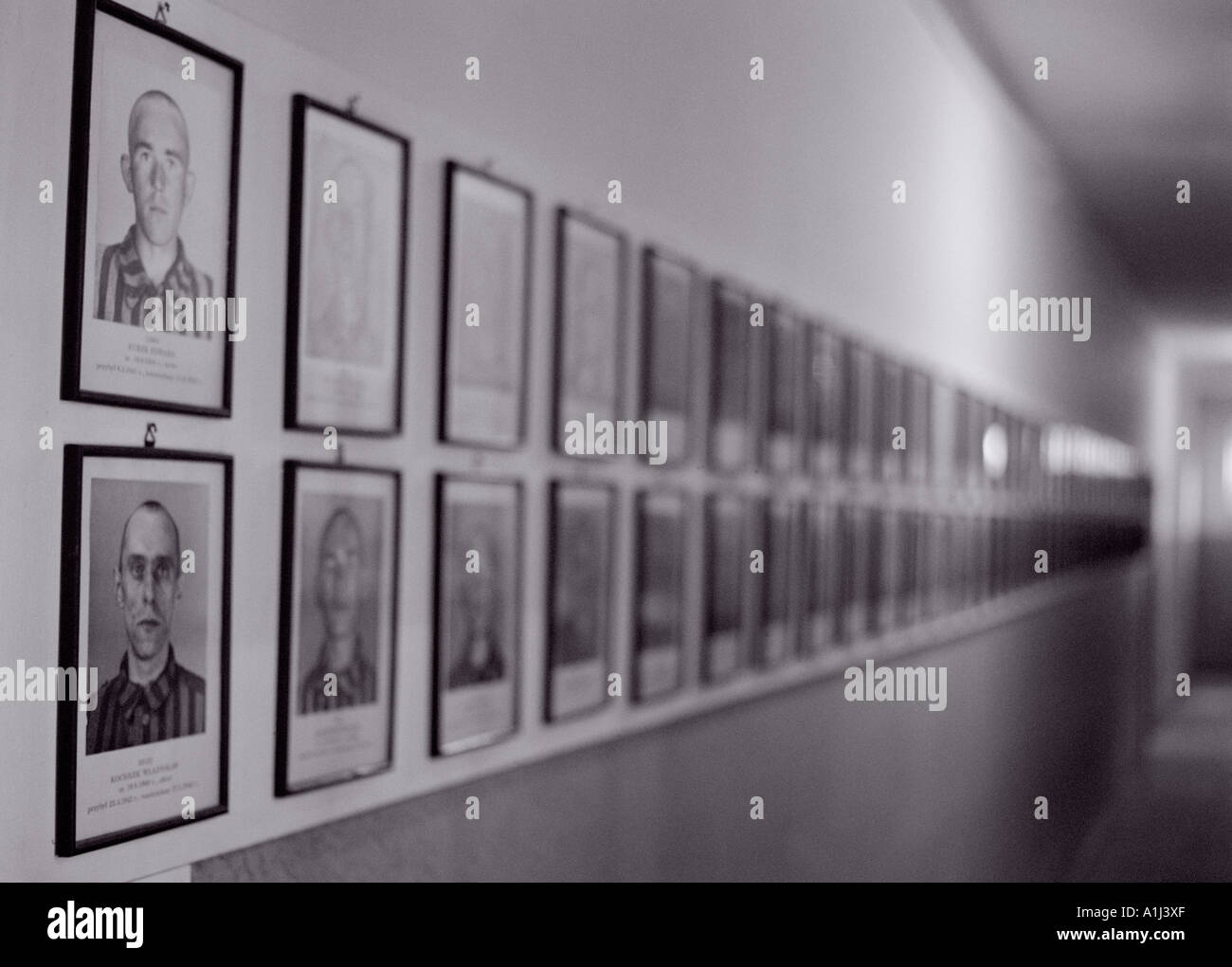 Auschwitz, a corridor with photos of prisoners Stock Photo